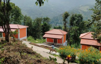 Kodai Venpavi Home Stay, Book affordable homestay in kodaikanal