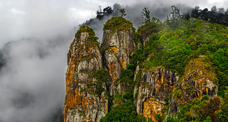 Kodai Venpavi Home Stay, Family homestay near kodaikanal lake